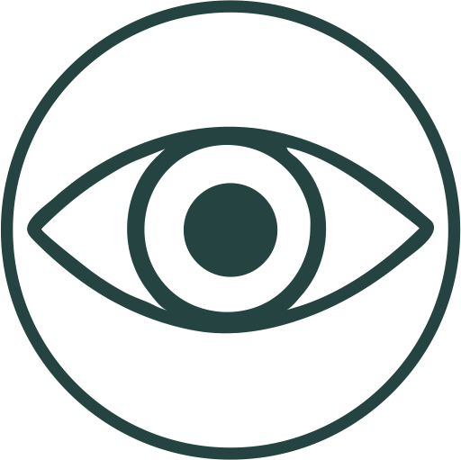 Abilty icon Vision