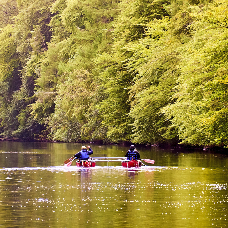 Paddling with a woodland background - Scotland