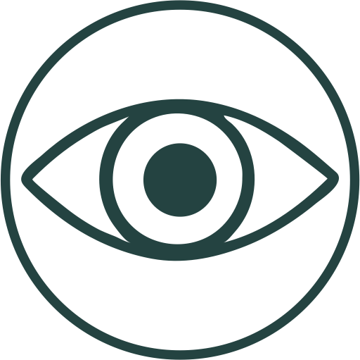 Ability%20vision%20400